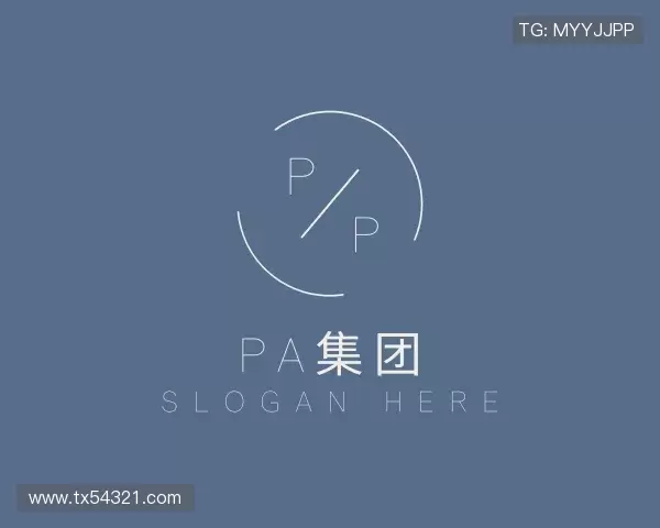 介绍pa集团官方网站